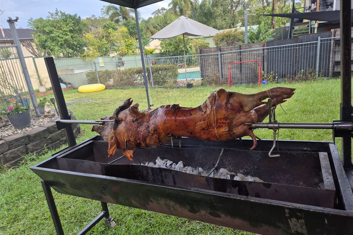 Whole pig roasting over charcoal at a Brisbane backyard event
